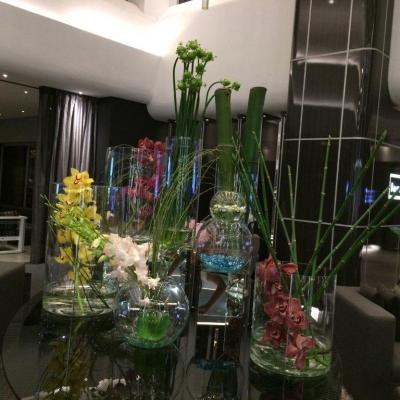 Img 0412